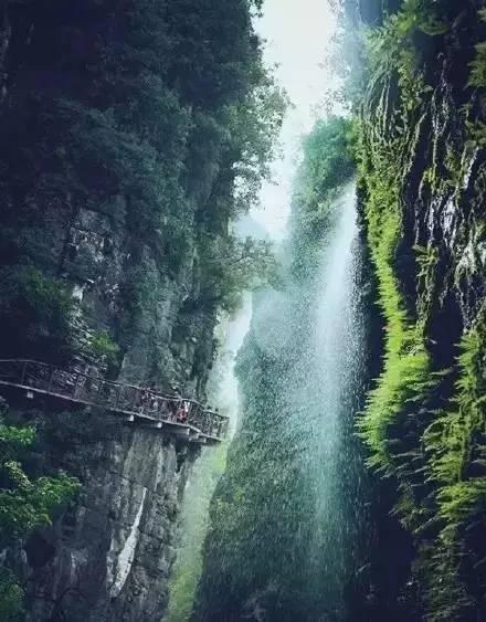 我是孙二谋